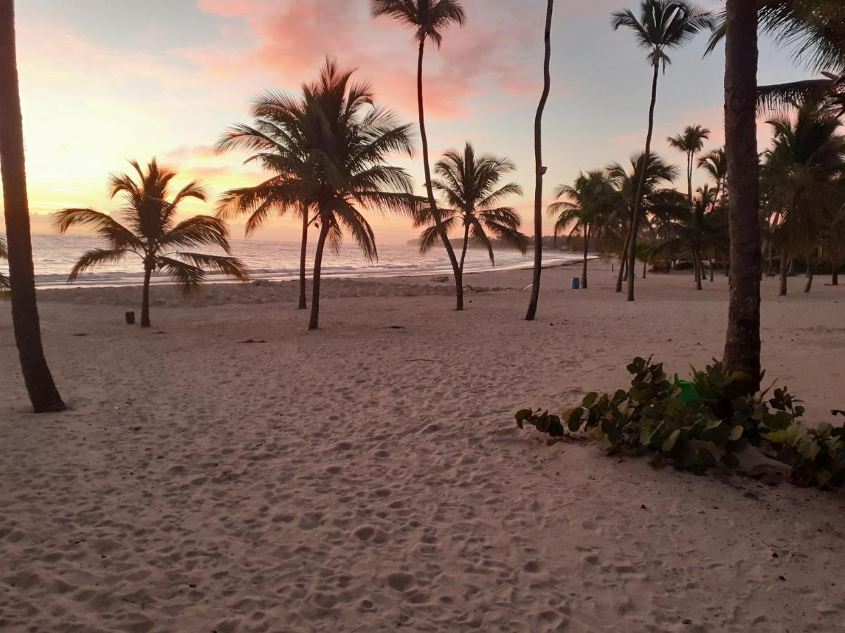 Exclusive Residencial Nautilus Bavaro Punta-Cana Appartement Punta Cana Buitenkant foto